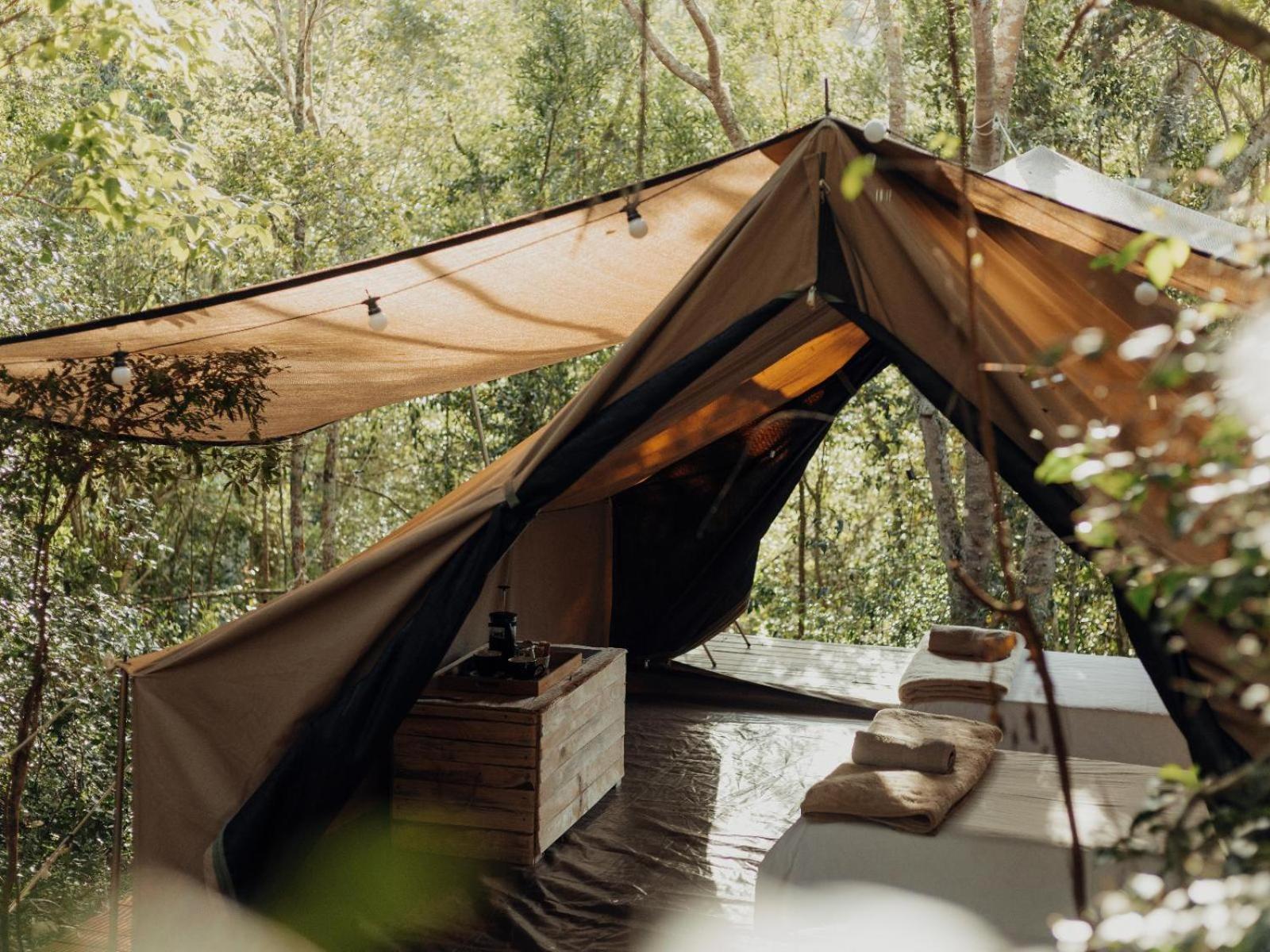 Firefly Falls Plettenberg Bay Kültér fotó
